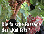IS-Propagandamaterial zeigt Mann bei Traubenernte