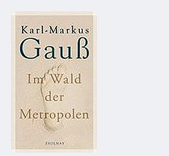 © Verlag Zsolnay Buchcover "Im Wald der Metropolen"
