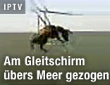 Fliegender Esel am Gleitschirm