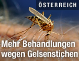 Gelse auf Haut