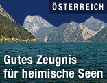Traunsee