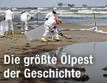 Menschen reinigen vom &Ouml;l verunreinigten Strand.