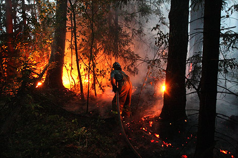 © APA/EPA/Maxim Shipenkov Feuerwehrmann bei Löschversuch