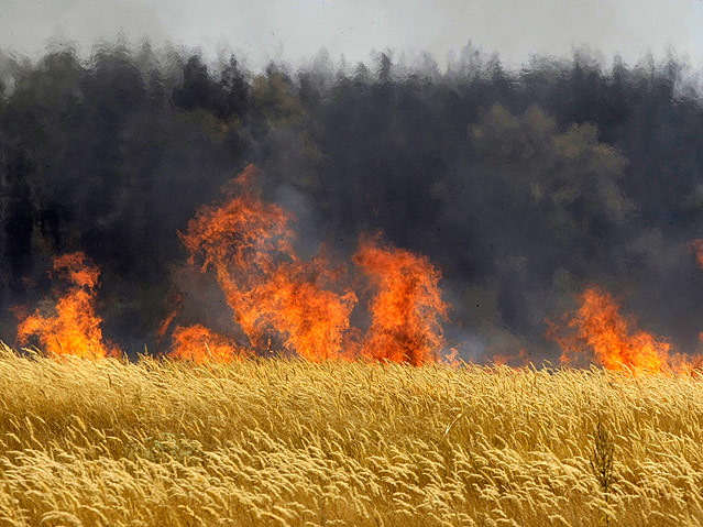 © AP/Mikhail Metzel Brand am Getreidefeld