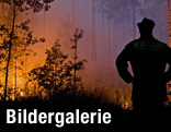 Feuerwehrmann blickt in Flammen