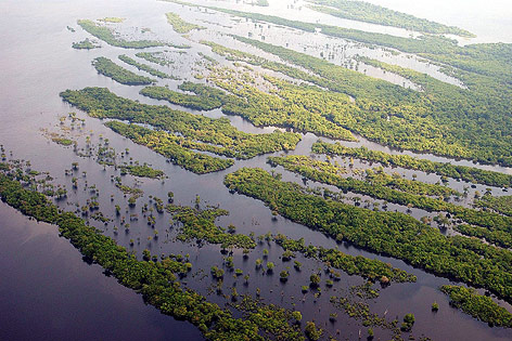 © APA/EPA/Marcelo Sayao Luftansicht des Amazonas
