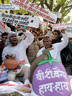 © AP/Ajit Solanki Gegner der Genmelanzani mit diversen Protestbannern