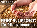 Pflanzensamen in Hand
