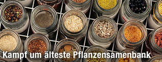Samendatenbank