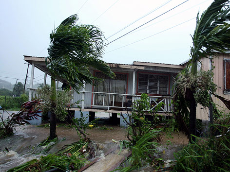 © AP/Johnny Jno-Baptiste Geflutetes Haus und geknickte Palmen in Antigua in der Karibik