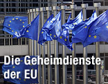 Flaggen der EU in Brüssel