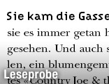 Screenshot der Leseprobe