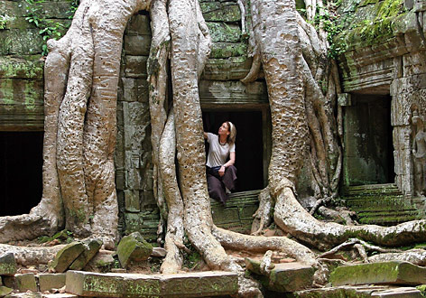 © APA/EPA/Barbara Walton Baumwurzeln überwuchern dieTempelruine Ta Prohm