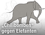 Elefant Skizze