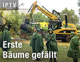 Polizisten in Regenmäntel bewachen einen Bagger, der Bäume entfernt.