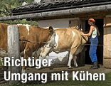 Bauer und Kuh