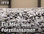 Porzellansamen