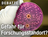 Wissenschaftliche Probe von Hefen und Schimmelpilzen