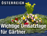 Blumen am Friedhof