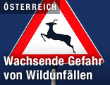 Verkehrsschild "Wildwechsel"