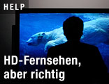 Silhouette vor HD-Fernseher, der Eisbären unter Wasser zeigt