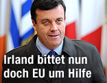 Der irische Finanzminister Brian Lenihan