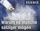 Salzstreuer