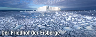 Eisberg in Südgeorgien