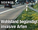 Autobahn neben einer Grünfläche