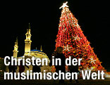 Weihnachtsbaum vor Moschee