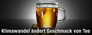 Teetasse