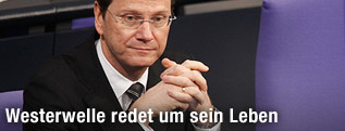 FDP-Parteivorsitzender Guido Westerwelle