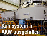 AKW in Tokai