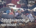 Zerst&ouml;rte H&auml;user in der japanischen Stadt Hananomaki