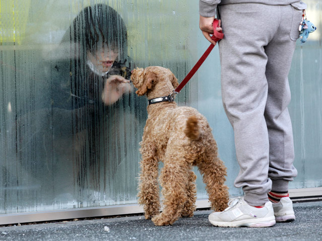 © Reuters/Yuriko Nakao Unter Quarantäne gestelltes Mädchen begrüßt Hund durch Glasscheibe
