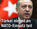 Türkischer Premierminister Erdogan