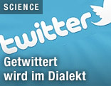 Logo Twitter