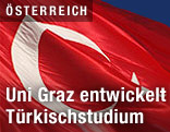 Türkische Flagge