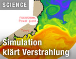 Grafik über die Verstrahlung rund um Fukushima I