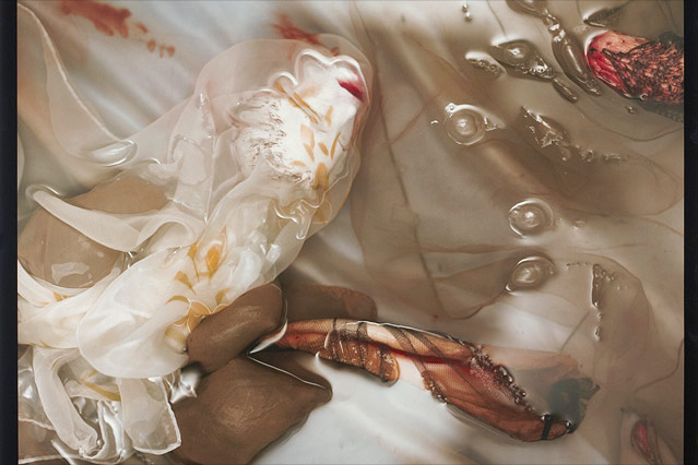 © Sally Mann/1985/Sammlung WestLicht Polaroid Sally Mann 1985