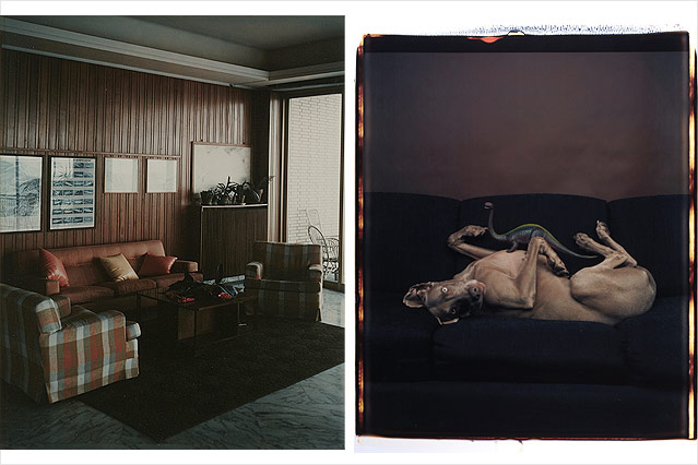 © l: Stephan Shore/1976/Sammlung WestLicht, r: William Wegman/1987/Sammlung WestLicht Polaroid Stephan Shore 1976, Polaroid,
William Wegman 1987