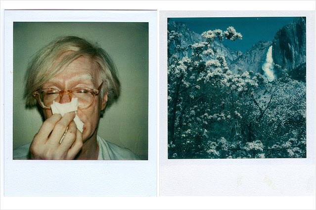 © l: Andy Warhol/1978/Sammlung WestLicht, r: Ansel Adams/1979/ Sammlung WestLicht Polaroid Andy Warhol 1978; Polaroid Ansel Adams, Yosemite Falls & Flowers 1979