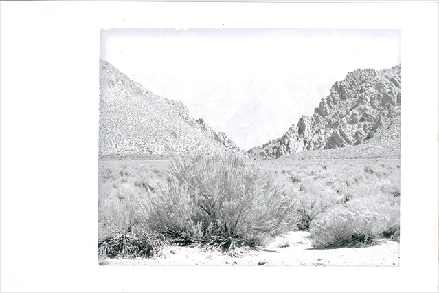 © Minor White/1960/Sammlung WestLicht Polaroid Minor White 1960