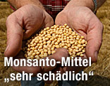 Roundup Ready Sojabohnen