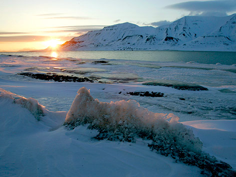 © Reuters/Francois Lenoir Gefrorene Küstenlinie der norwegischen Arktis