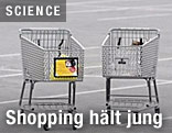 Einkaufswagen