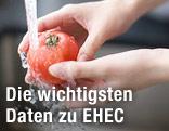 Frau wäscht Tomate unter Wasserhahn