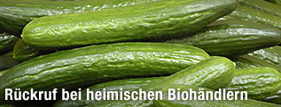 Salatgurken