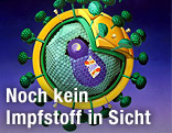 Modell eines Aids-Virus