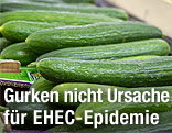 Gurke